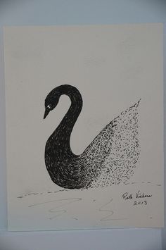 a drawing of a black swan in the water