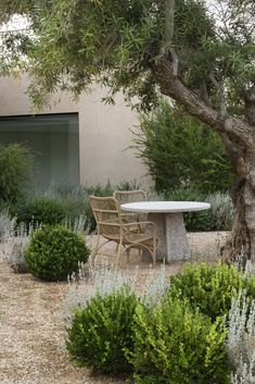 an outdoor table and chairs in the middle of a garden with trees, shrubs and gravel