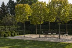 a table and chairs in the middle of a park area with trees on both sides