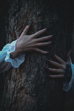 two hands on the trunk of a tree