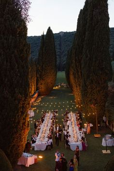 an outdoor dinner is set up in the middle of a lawn surrounded by tall trees