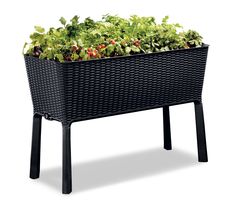 an outdoor planter with plants growing out of the top and bottom, in front of a white background