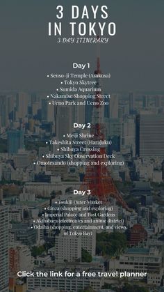 the 3 days in tokyo flyer