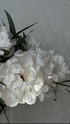 some white flowers are in a vase with green stems on the top and one flower is blooming