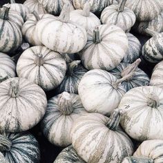 many white and black pumpkins are stacked together