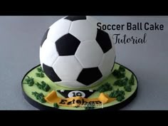 a soccer ball cake on top of a plate