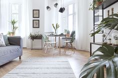 a living room filled with furniture and plants