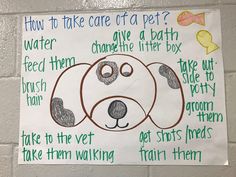 a sign on the wall that says, how to take care of a pet?