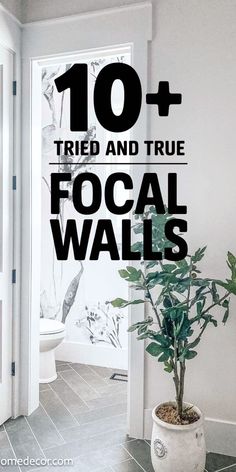 focal walls