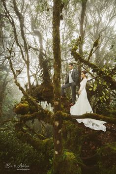 a bride and groom standing on a mossy tree branch in the middle of a forest