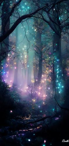 a forest filled with lots of trees covered in fireflies and glowing lights at night