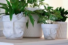 three white planters with plants in them on a shelf