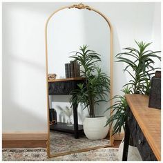 a mirror sitting on top of a table next to a potted plant