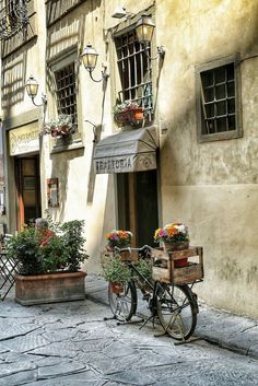 a bike parked on the side of a street next to a building with flowers growing out of it