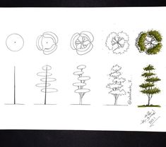 a drawing of different trees and shapes