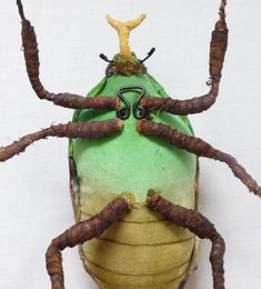 a close up of a bug on a white surface