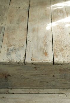 an orange cat sitting on top of a wooden floor