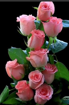 a bouquet of pink roses with green leaves and water droplets on them, against a black background