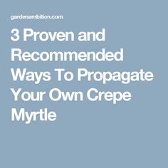 the words 3 proven and recommended ways to propgate your own crepe myrtite