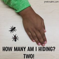 a person's hand and two small black bugs on a table