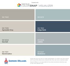 the color scheme for colorsnap visualizer is shown in blue, gray and pink