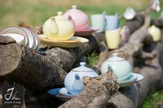 tea cups and saucers are lined up on a log