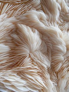 close up view of an intricate pattern made out of white yarns on a table