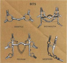 the diagram shows different types of scissors and chains attached to each other with words written below them