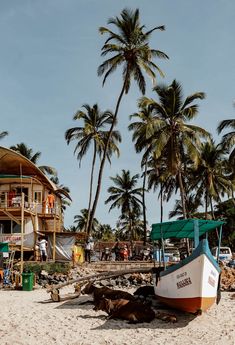 a boat sitting on top of a sandy beach next to palm trees and people in the background