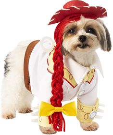 a small dog dressed up in a costume