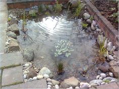 a small pond surrounded by rocks and plants