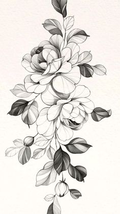 a black and white drawing of flowers with leaves on the bottom half of each flower