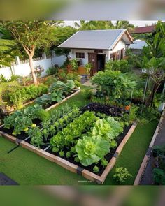 a garden with lots of green plants in the center and small white house behind it