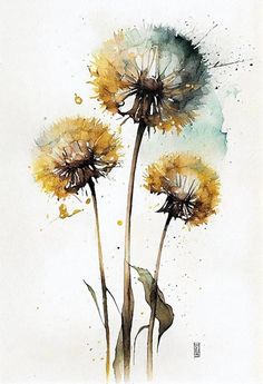 three yellow dandelions are shown in this watercolor painting