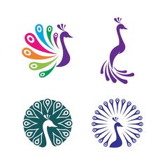 four peacocks with different colors and patterns