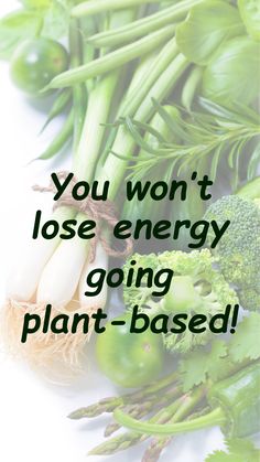 Learn about the amazing advantages of a plant-based diet. Revitalize your body and mind, choosing plant-based foods can transform your well-being! 🌱 Explore easy plant-based meals and see the incredible changes. Ideal for anyone new to veganism, join the plant-based movement and achieve your health goals! #VeganDiet #PlantBased #GoVegan #HealthyLifestyle