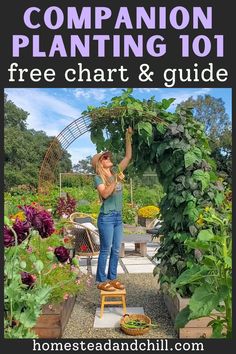 a woman standing in the middle of a garden holding an umbrella over her head with text reading companion planting 101 free chart & guide