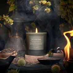 a candle sitting on top of a table next to some potted plants and cacti