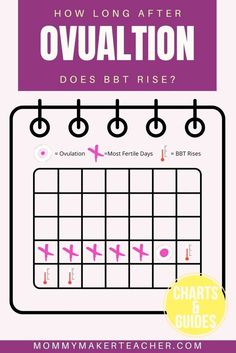 a calendar with the words how long after ovulation does bet rise? and pink crosses on it