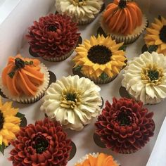 cupcakes decorated with sunflowers and pumpkins are in a white box