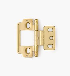 an image of a brass plated door hinge on a white background with clippings