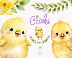 watercolor painting of two chicks with yellow flowers and greenery on the bottom right corner