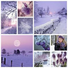 a collage of photos with snow and flowers in the foreground, purple hues on the background