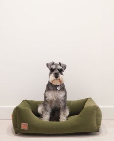 The face you make when you’ve got weekend-long snooze plans and zero intentions of being disturbed. Ps. Our Forest Green dog bed is almost sold out - act fast if you want one for yourself… How To Plan, Dogs