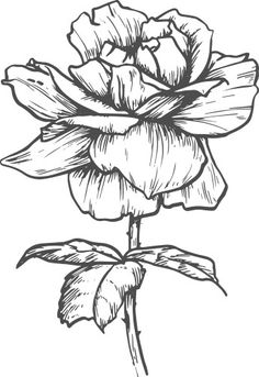 a black and white drawing of a flower