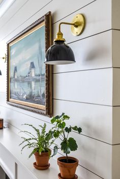 two potted plants are sitting on a shelf in front of a wall mounted painting