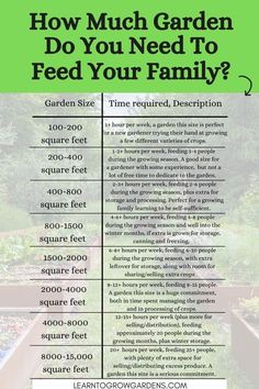 a garden with the words how much garden do you need to feed your family?