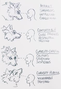 sketches of different types of animals and their names