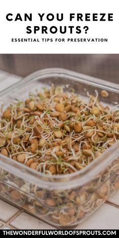 Can you freeze sprouts? Sprouts can indeed be frozen, which is excellent news for those looking to preserve their flavor and nutrients. Freezing fresh sprouts lets you enjoy them all year. Frozen