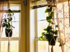 two potted plants are hanging from the window sill in front of the curtains